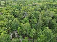 LT 68 PL 581 NORTH DRIVE | Haliburton Ontario | Slide Image Twelve