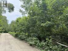 LT 68 PL 581 NORTH DRIVE | Haliburton Ontario | Slide Image Four
