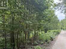 LT 68 PL 581 NORTH DRIVE | Haliburton Ontario | Slide Image Six