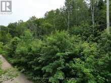 LT 68 PL 581 NORTH DRIVE | Haliburton Ontario | Slide Image Eight