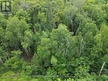 LT 68 PL 581 NORTH DRIVE | Haliburton Ontario | Slide Image Nine