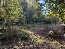 LT 68 PL 581 NORTH DRIVE | Haliburton Ontario | Slide Image Seven