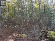 LT 68 PL 581 NORTH DRIVE | Haliburton Ontario | Slide Image Nine