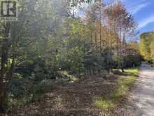 LT 68 PL 581 NORTH DRIVE | Haliburton Ontario | Slide Image Four