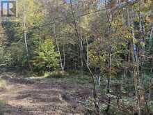 LT 68 PL 581 NORTH DRIVE | Haliburton Ontario | Slide Image Six