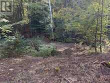 LT 68 PL 581 NORTH DRIVE | Haliburton Ontario | Slide Image Eight