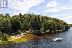 1516 DEER LAKE ROAD | Emsdale Ontario | Slide Image Four