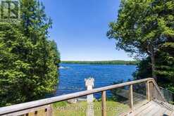 31 LOON ECHO TRAIL | Seguin Ontario | Slide Image Two