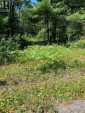 4225 SOUTHWOOD ROAD | Muskoka Lakes Ontario | Slide Image Two