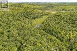 1099 WOLFKIN LAKE ROAD | Baysville Ontario | Slide Image Thirty-five