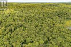 1099 WOLFKIN LAKE ROAD | Baysville Ontario | Slide Image Thirty-six