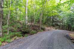 1099 WOLFKIN LAKE ROAD | Baysville Ontario | Slide Image Thirty-nine