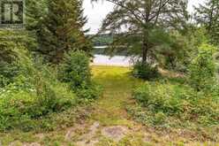 1099 WOLFKIN LAKE ROAD | Baysville Ontario | Slide Image Three