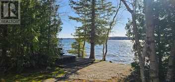 294 TAMMY'S COVE ROAD | Lion's Head Ontario | Slide Image One