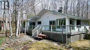 294 TAMMY'S COVE ROAD | Lion's Head Ontario | Slide Image Two