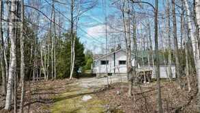 294 TAMMY'S COVE ROAD | Lion's Head Ontario | Slide Image Four