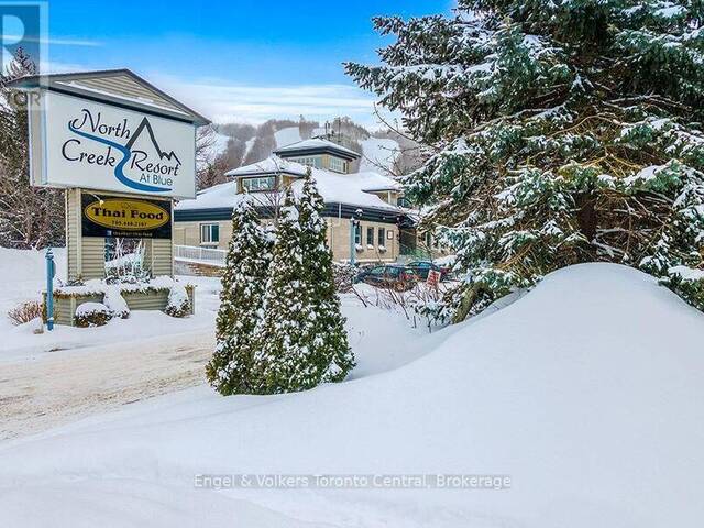 102 - 796468 GREY ROAD 19 ROAD The Blue Mountains Ontario, L9Y 0N6 - 1 Bedroom Condo For Sale