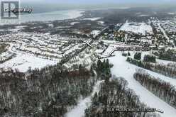 102 - 796468 GREY ROAD 19 ROAD | The Blue Mountains Ontario | Slide Image Forty-seven