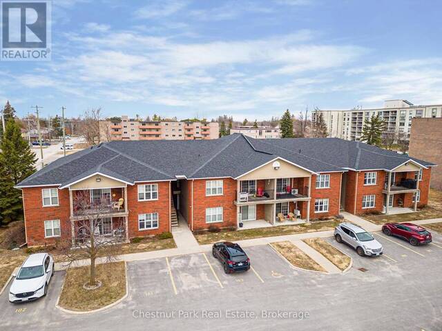 206 - 435 WALNUT STREET Collingwood Ontario, L9Y 5J9 - 1 Bedroom Condo For Sale