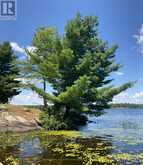 216 LONE TREE ROAD | Parry Sound Ontario | Slide Image Ten