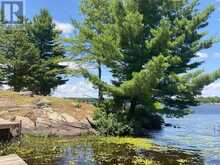 216 LONE TREE ROAD | Parry Sound Ontario | Slide Image Nine