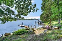 3 - 1519 MUSKOKA 118 ROAD W | Muskoka Lakes Ontario | Slide Image Forty-eight