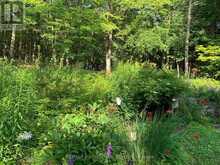 1048 ELK DRIVE | Haliburton Ontario | Slide Image Five