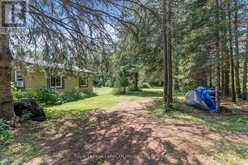 4982 GELERT ROAD | Minden Hills Ontario | Slide Image Thirty-seven