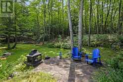 3650 MUSKOKA ROAD 117 | Baysville Ontario | Slide Image Forty-three