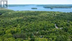 3650 MUSKOKA ROAD 117 | Baysville Ontario | Slide Image Fifty