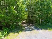 17 LIZZIE'S LANE | McKellar Ontario | Slide Image Thirty-four