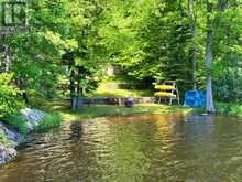 17 LIZZIE'S LANE | McKellar Ontario | Slide Image Forty
