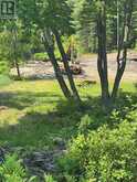 98 LOUISA STREET | Parry Sound Ontario | Slide Image Five