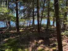 5993 HIGHWAY #124 HIGHWAY | Magnetawan Ontario | Slide Image Six