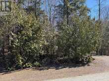 28 GEORGE STREET | Bayfield Ontario | Slide Image Nine