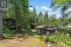 1481 UNIVERSAL ROAD | Haliburton Ontario | Slide Image Five