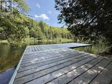 1125 FAIRY FALLS ROAD | Baysville Ontario | Slide Image Thirty-three