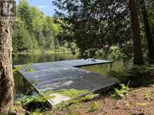 1125 FAIRY FALLS ROAD | Baysville Ontario | Slide Image Six