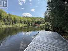1125 FAIRY FALLS ROAD | Baysville Ontario | Slide Image Eight