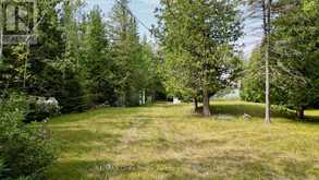 123 FOWLIE ROAD | Lion's Head Ontario | Slide Image Six