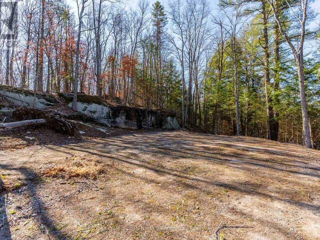 0 BOUGHNER ROAD Haliburton Ontario, K0M 1S0 - Vacant Land For Sale
