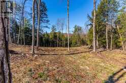 0 BOUGHNER ROAD | Haliburton Ontario | Slide Image Twelve