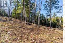 0 BOUGHNER ROAD | Haliburton Ontario | Slide Image Thirteen