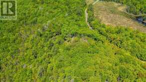 0 BOUGHNER ROAD | Haliburton Ontario | Slide Image Twenty