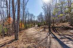 0 BOUGHNER ROAD | Haliburton Ontario | Slide Image Three
