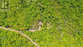 0 BOUGHNER ROAD | Haliburton Ontario | Slide Image Six