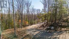 0 BOUGHNER ROAD | Haliburton Ontario | Slide Image Seven