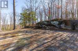 0 BOUGHNER ROAD | Haliburton Ontario | Slide Image Nine