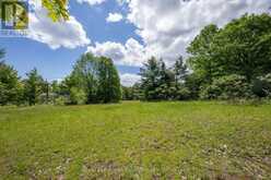 756 CHAMPLAIN ROAD | Tiny Ontario | Slide Image Thirteen