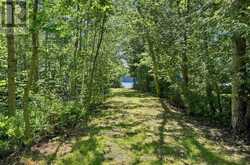 8966 HIGHWAY 35 | Minden Hills Ontario | Slide Image Forty-one